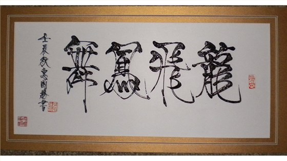  凌晓华作品-龙飞凤舞