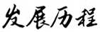 发展历程