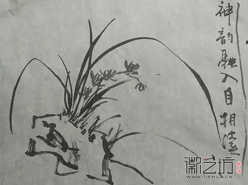 2017.3.18铁画知行社第二期课程报道15 (2)