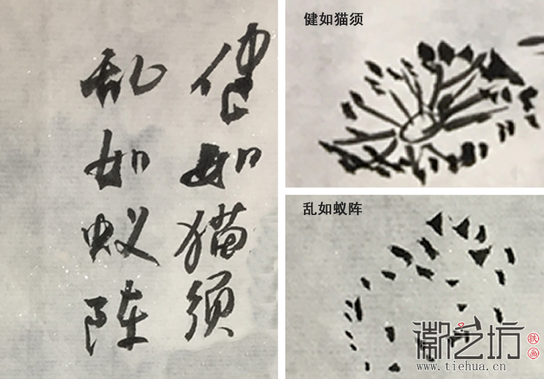 健如猫须 乱如蚁阵2