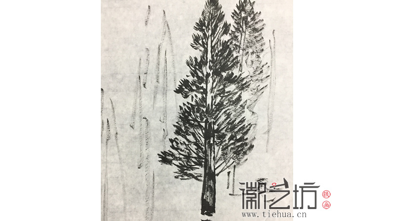 采风归来画水杉