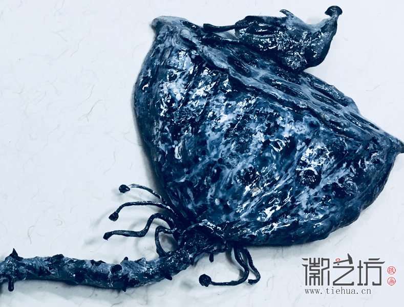 莲  徽艺坊私人定制合作共赢铁画礼品送法国米其林