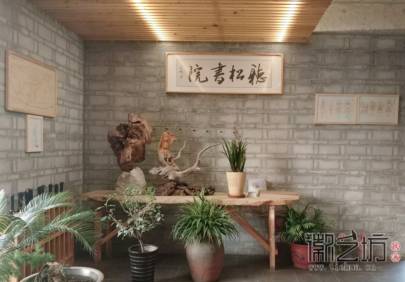 太行山下听松书院寻崖柏 (1)