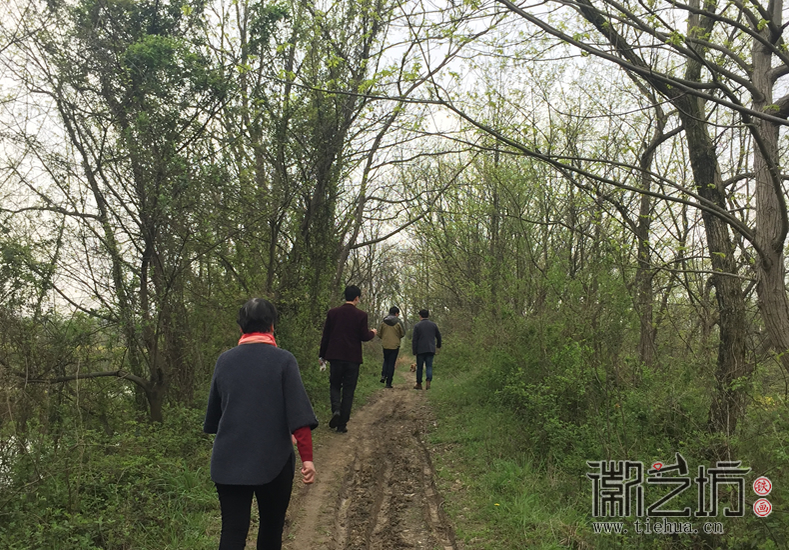 芜湖铁画知行社南陵农家采风 (14)