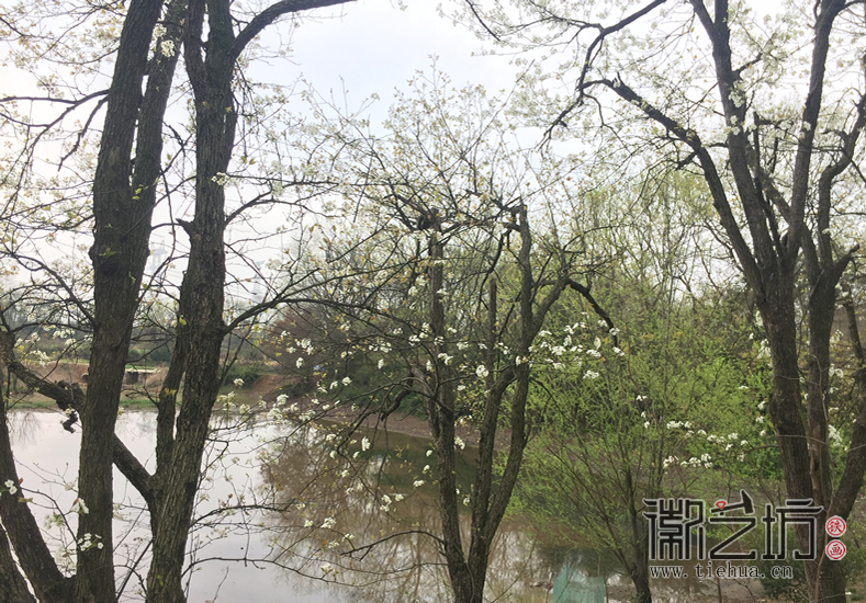 芜湖铁画知行社南陵农家采风 (15)
