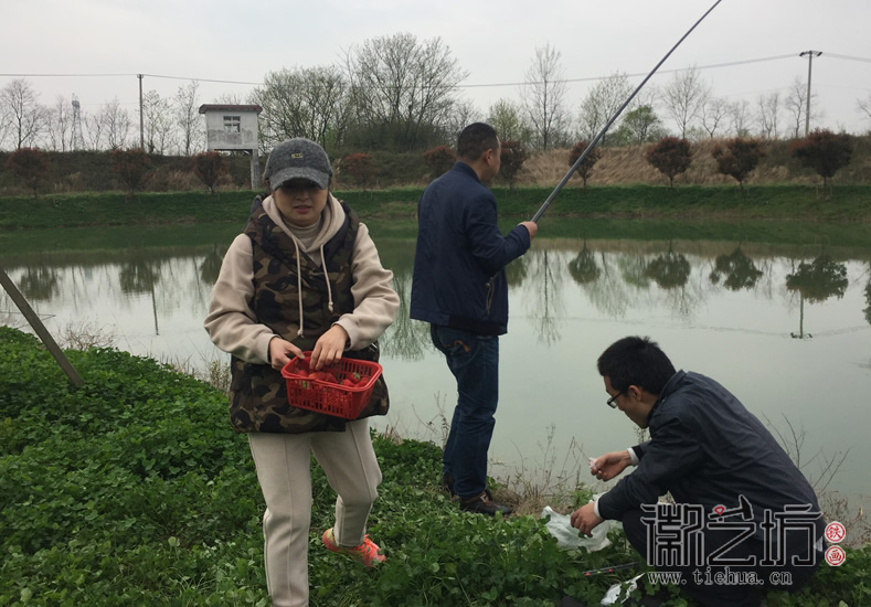 芜湖铁画知行社南陵农家采风 (8)