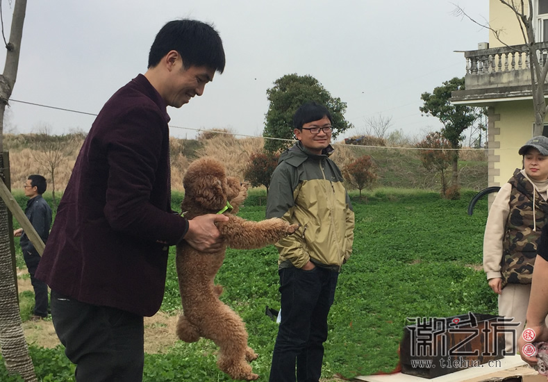 芜湖铁画知行社南陵农家采风 (11)
