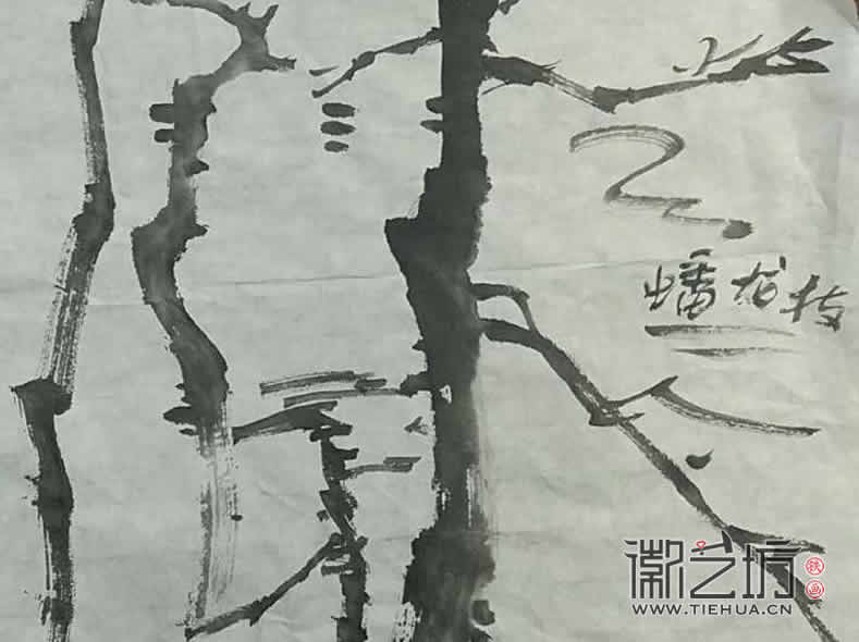2017.3.18铁画知行社第二期课程报道20
