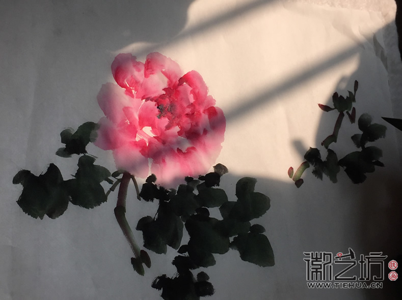 2017.4.5铁画知行社第三期课程报道15