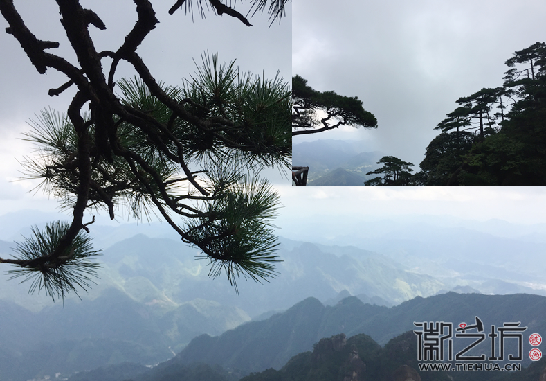 三清山松枝与远山