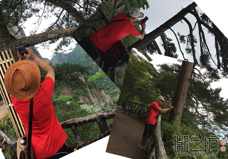 铁画大师拍下松树的细微之处