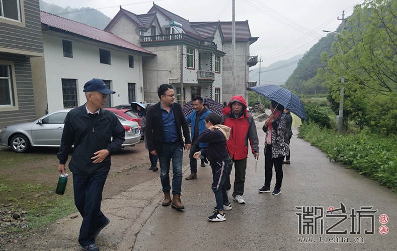 芜湖铁画知行社第二十八期——寻访宣石35