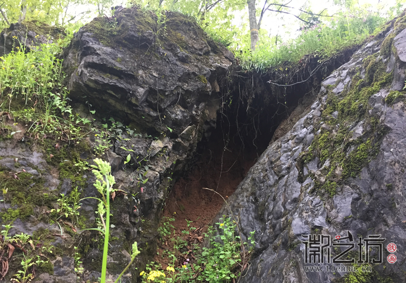 芜湖铁画知行社第二十八期——寻访宣石60