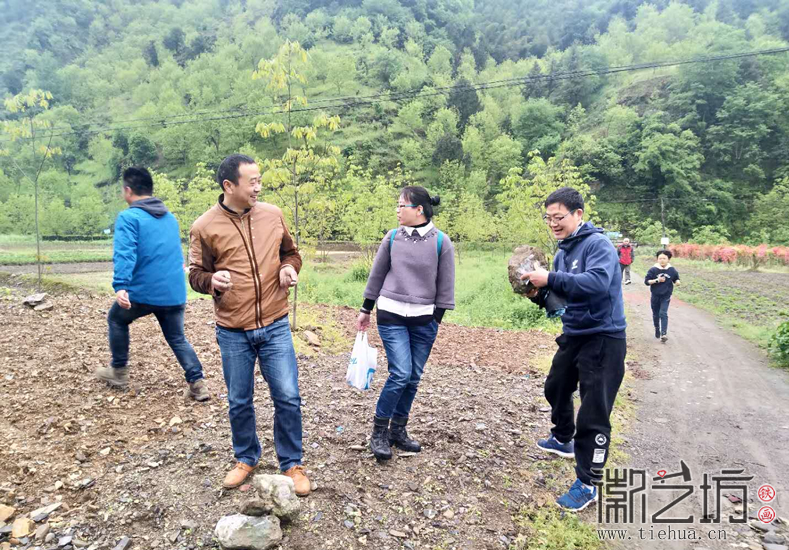 芜湖铁画知行社第二十八期——寻访宣石64