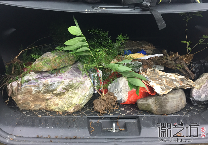 芜湖铁画知行社第二十八期——寻访宣石61