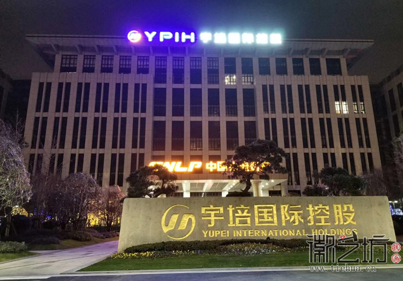 徽艺坊定制上海宇培国际VIP厅浮雕彩绘装饰铁画 (8)